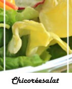 Chicoreesalat-hcg-diät-rezepte